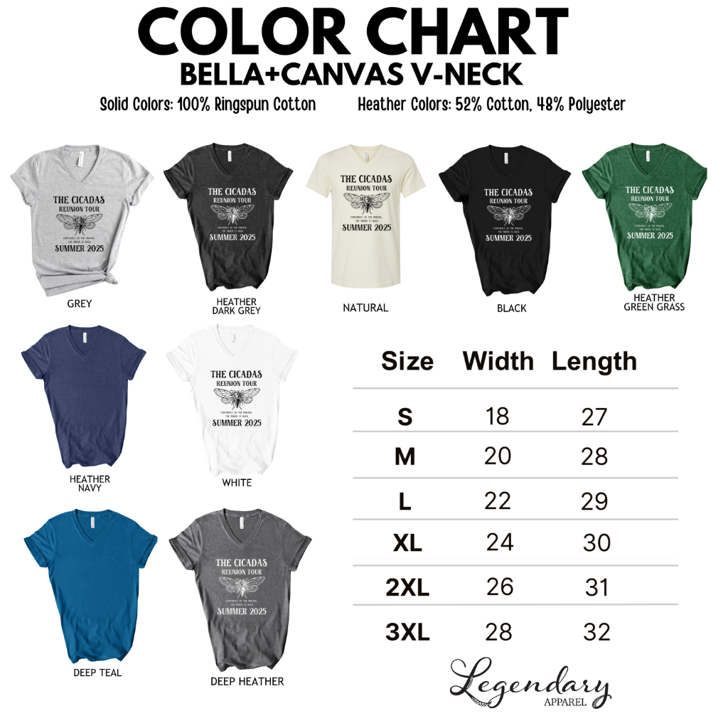 The Cicadas Reunion Tour 2024 V-Neck Tee Shirt
