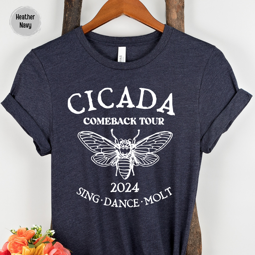 Cicada Comeback Tour 2024