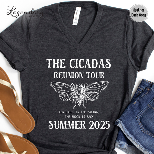 The Cicadas Reunion Tour 2024 V-Neck Tee Shirt