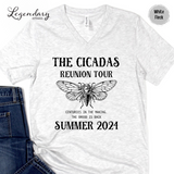 The Cicadas Reunion Tour 2024 V-Neck Tee Shirt