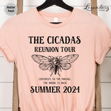 The Cicadas Reunion Tour 2024
