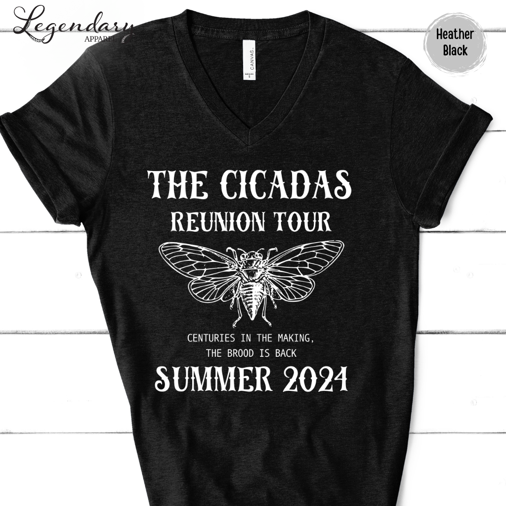 The Cicadas Reunion Tour 2024 V-Neck Tee Shirt