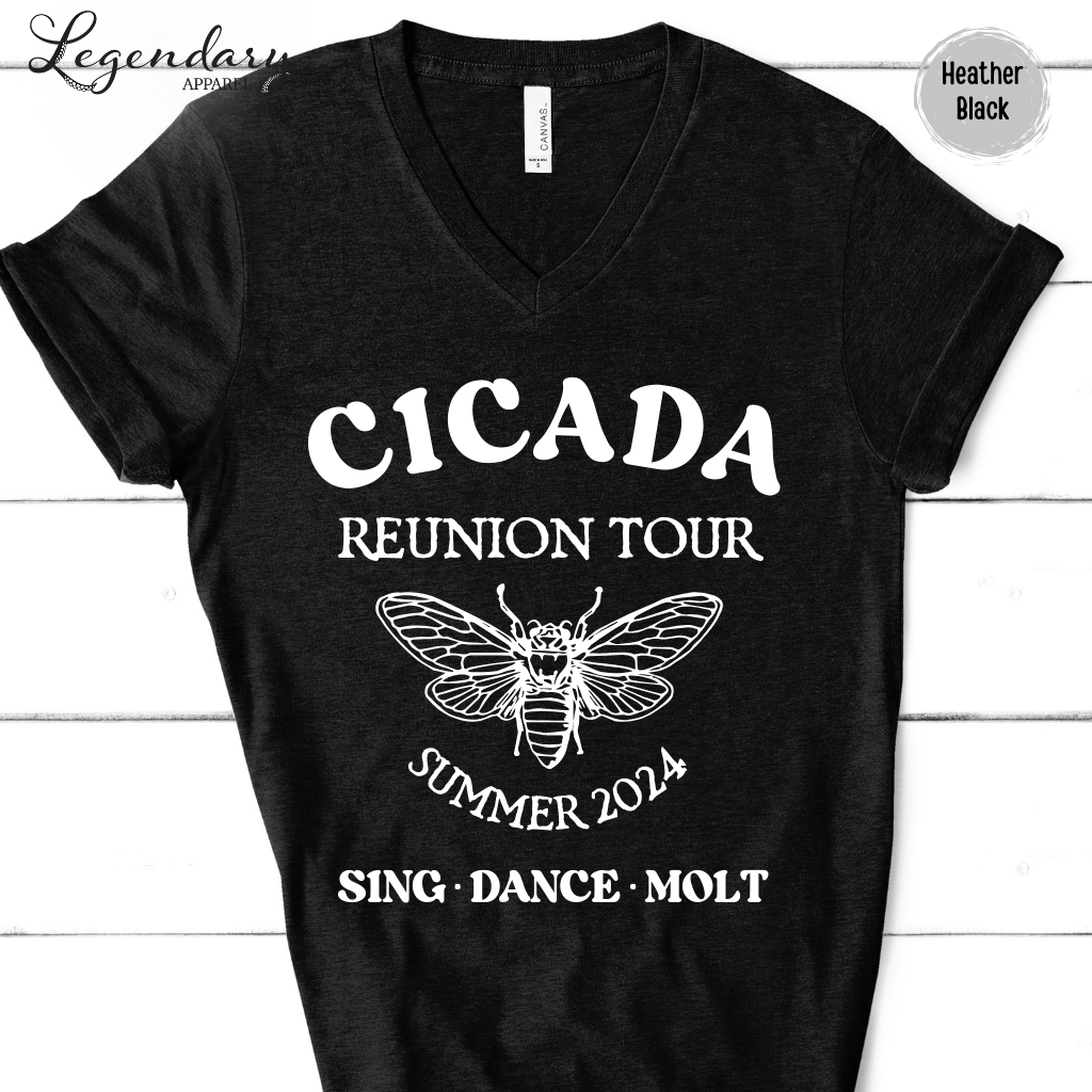 Cicada Reunion Tour 2024 V-Neck Tee Shirt