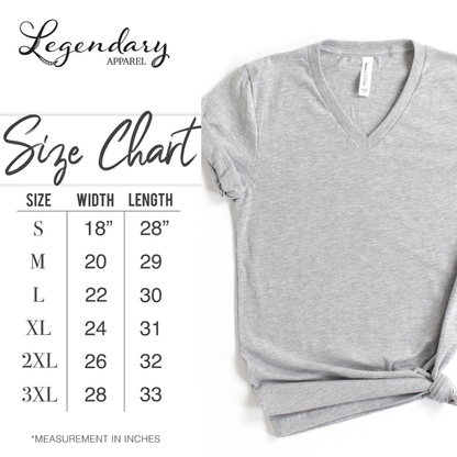 The Cicadas Comeback Tour 2025 V-Neck Tee Shirt