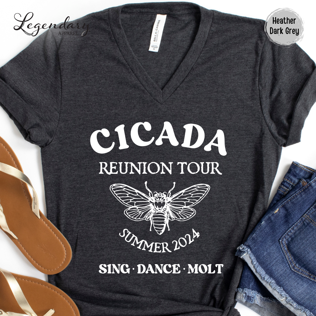 Cicada Reunion Tour 2024 V-Neck Tee Shirt