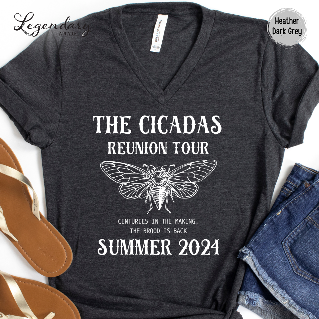 The Cicadas Reunion Tour 2024 V-Neck Tee Shirt