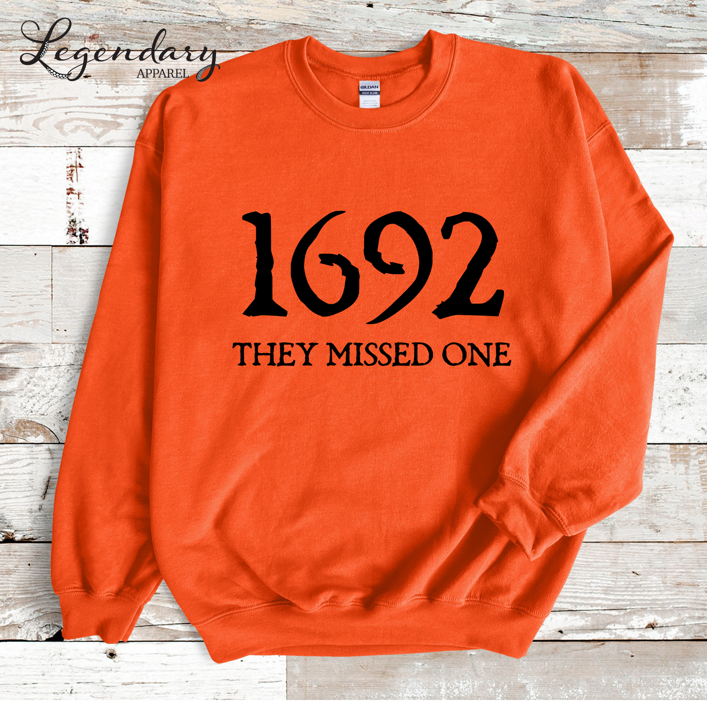 Salem Witch Sweatshirt 1692 They Missed One