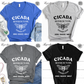 Cicada Reunion Tour 2024 V-Neck Tee Shirt