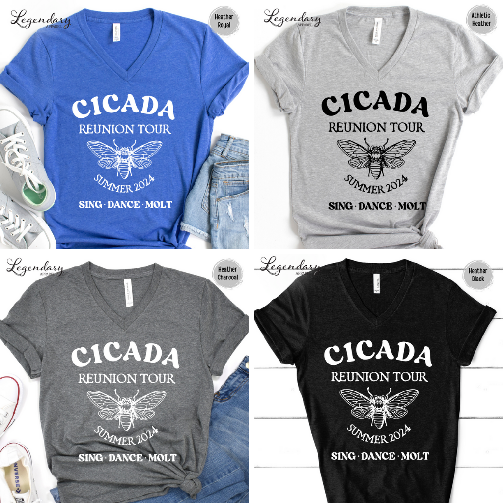 Cicada Reunion Tour 2024 V-Neck Tee Shirt