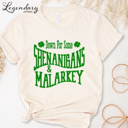 St. Patrick's Day Tee Shirt Down For Some Shenanigans and Malarkey