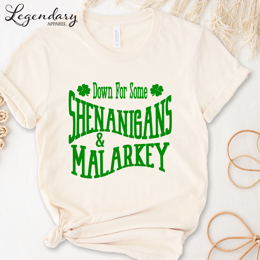 St. Patrick's Day Tee Shirt Down For Some Shenanigans and Malarkey