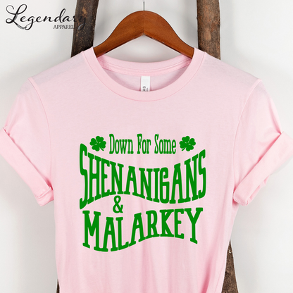St. Patrick's Day Tee Shirt Down For Some Shenanigans and Malarkey
