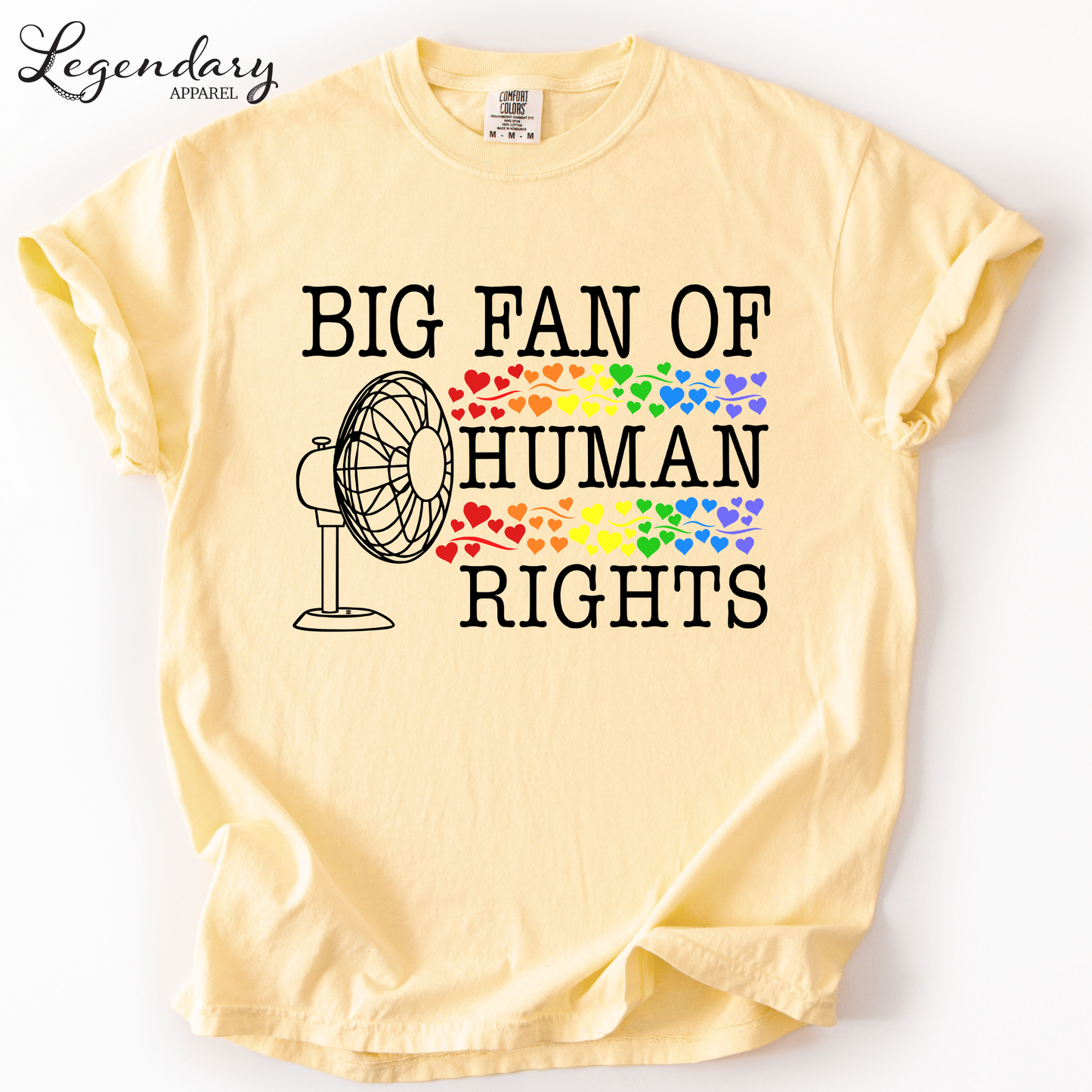 Big Fan of Human Rights Tee Shirt