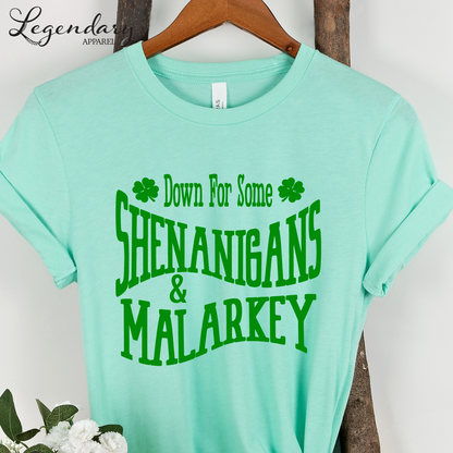 St. Patrick's Day Tee Shirt Down For Some Shenanigans and Malarkey