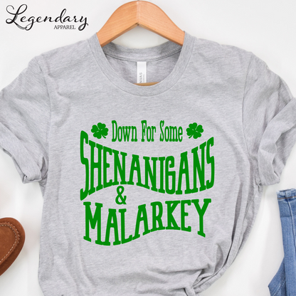 St. Patrick's Day Tee Shirt Down For Some Shenanigans and Malarkey