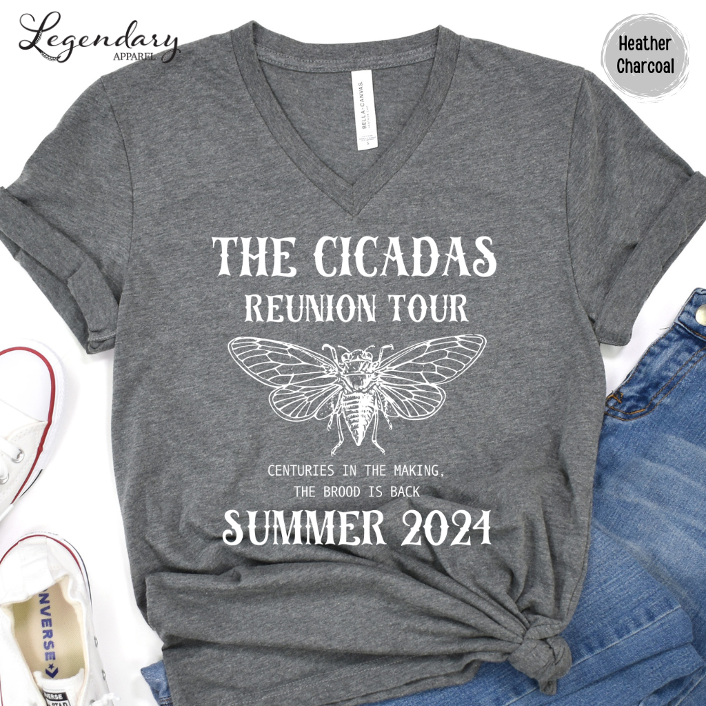 The Cicadas Reunion Tour 2024 V-Neck Tee Shirt